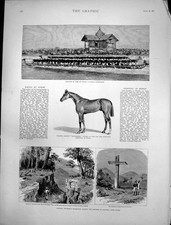 Old antique print for sale  UK