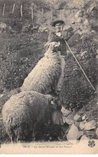 Haute pyrenees san65729 d'occasion  France