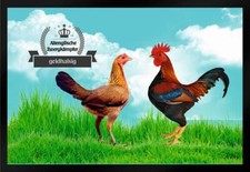 Fußmatte hühner altenglische gebraucht kaufen Fußmatte hühner altenglische gebraucht kaufen  Limbach-Oberfrohna