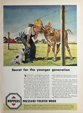 1950 koppers pressure for sale  Oak Forest