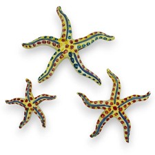 Stella marina decorata usato  Trappeto