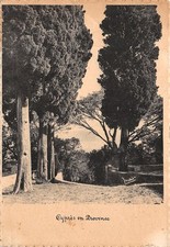 Cypres provence t2663 d'occasion  France