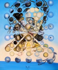 Dali galatea con usato  Napoli
