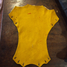 Plastron uniforme couleur d'occasion  Morestel