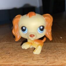 Lps 298 littlest d'occasion  Lardy