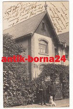Wohnhaus villa hund gebraucht kaufen  Borna
