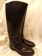 Regent horse riding for sale  OXFORD