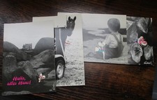 Diddl photocards postkarte gebraucht kaufen  Bayreuth