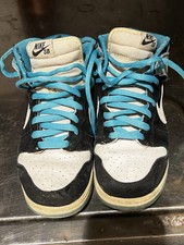 Nike dunk pro for sale  Staten Island