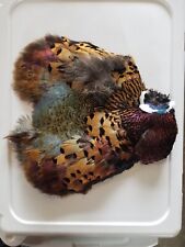 Pheasant feathers cape for sale  Mitchell