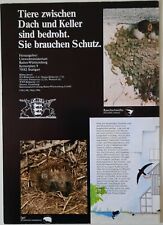 Poster fledermäuse tiere gebraucht kaufen  Oldenburg in Holstein