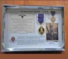 Cadre médaille us d'occasion  Guerlesquin