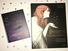Beaux livres sorcières d'occasion Beaux livres sorcières d'occasion  Rennes