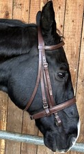 Braune kandare warmblut gebraucht kaufen  Buggingen