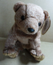 Beanie bear pecan for sale  WELWYN GARDEN CITY