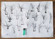 Sea fan small for sale  WEYMOUTH