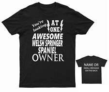 Proud welsh springer for sale  BRISTOL