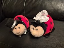 nici brautpaar gebraucht kaufen nici brautpaar gebraucht kaufen Creußen