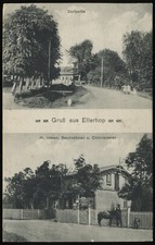 Gruss ellerhoop baumschulen gebraucht kaufen  Wietzendorf