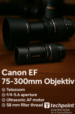 Canon 300mm iii gebraucht kaufen  Berlin