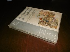 Romanzo fanfulla scala usato  Rancio Valcuvia