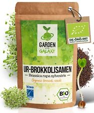 Bio brokkolisamen brokkoli gebraucht kaufen  Coburg