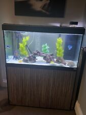 Fluval roma 200 for sale  BROADWAY