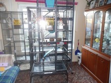 Flight bird cage for sale Flight bird cage for sale  EXETER