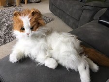 Furreal friends lulu for sale  CARLISLE