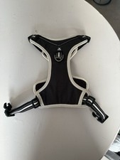 Peaks ascent dog for sale  BELFAST