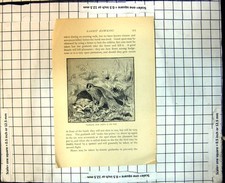 Original old antique for sale  UK