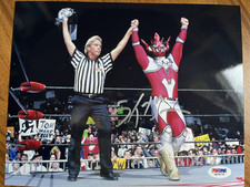 Jushin thunder liger for sale  PRESTON