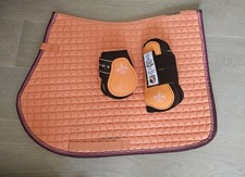 Eskadron set schabracke gebraucht kaufen  Weyhe