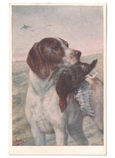 1923 antica cartolina usato 1923 antica cartolina usato  Italia