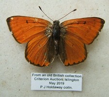 Historic british large for sale  UK