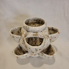 Vintage strawberry succulent for sale  Ferndale