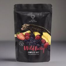 Gecko nutrition wild usato  Bergamo