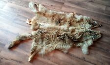 Fell echtfell coyote gebraucht kaufen  Reutlingen