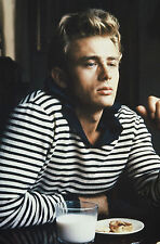 James dean poster for sale  SHEFFIELD