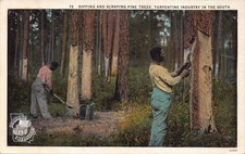 Dipping scraping pine for sale  Athens
