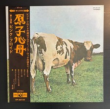 Pink floyd atom usato  Roma