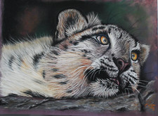 Riginal pastel painting gebraucht kaufen  Neubrandenburg