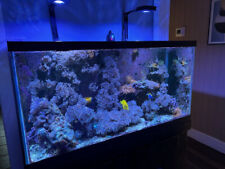 110 gallon reef for sale  Hopewell Junction