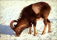 Djh spenden jugendherbergs gebraucht kaufen Djh spenden jugendherbergs gebraucht kaufen  Wöllstein