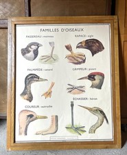 Lot affiches animaux d'occasion  Lyon VII
