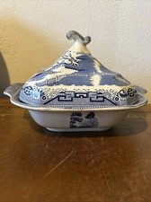 Blue white willow for sale  HALESOWEN