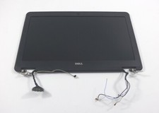 Display komplett dell gebraucht kaufen  Altenweddingen