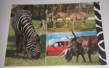 Loveparken zoo gifskud gebraucht kaufen  Haßmersheim