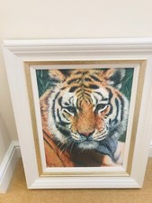 Tony forrest tiger for sale  NEWCASTLE UPON TYNE