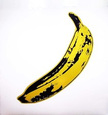 The velvet underground usato  San Benedetto del Tronto